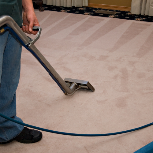 Carpet Cleaning