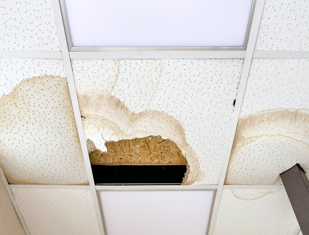 Water Damage Restoration